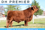 DH Premier (D) Conventional Semen (US Only) As Low as $100