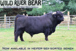 Wild River Bear (A.I,D) Heifer-Sexed Semen (US Only) as low as $250