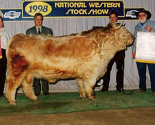 Load image into Gallery viewer, DH Exclusive Live Calves (Down Payment)
