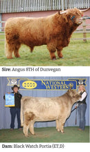 Load image into Gallery viewer, Parents of WL Genesis (ET,D) Highland Bull, Sire: Angus 8th of Dunvegan &amp; Dam: Black Watch Portia
