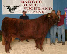 Load image into Gallery viewer, We Tired Acres Joc (D) Highland Bull
