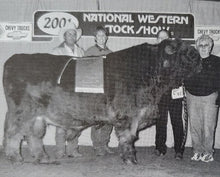 Load image into Gallery viewer, Broadstone 18th of Stonecliffe (D) Highland Bull