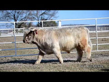 Load and play video in Gallery viewer, WL Genesis (ET,D) Conventional Semen (CSS Qualified)
